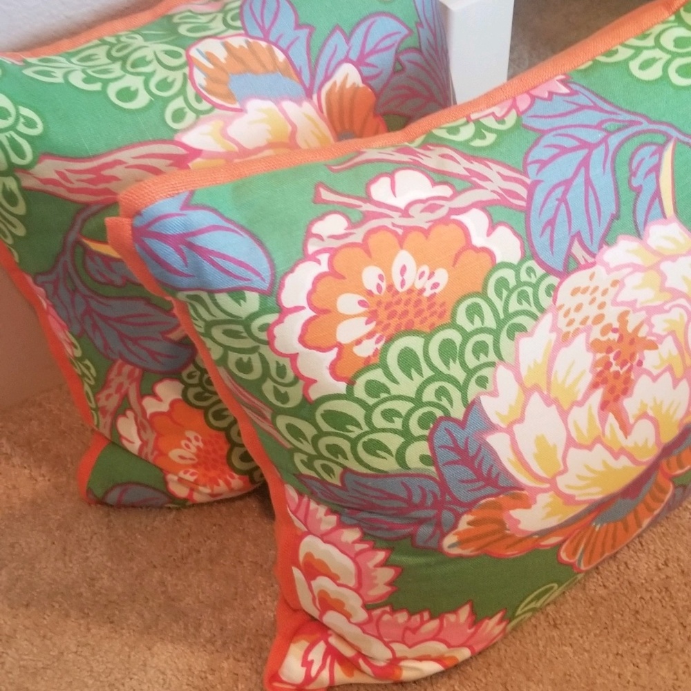 2 Brand new custom down filled pillows